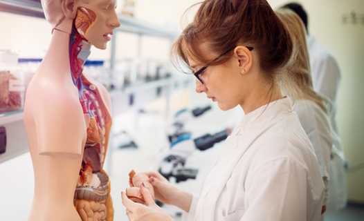 Chcesz studiować medycynę i jednocześnie poznać najnowocześniejsze technologie medyczne? Chcesz studiować medycynę i jednocześnie poznać najnowocześniejsze technologie medyczne?